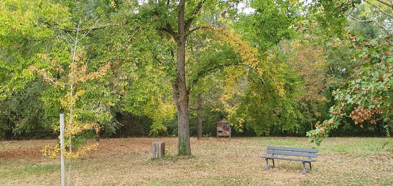 La Maison Des Cornieres Fourcès エクステリア 写真
